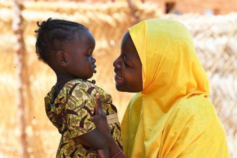 Strategies to reform health financing and boost partner coordination in Niger