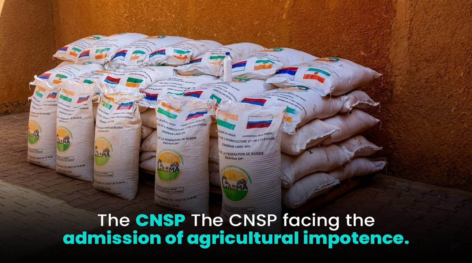 Russian fertilizer aid to Niger: a strategic move for agricultural independence