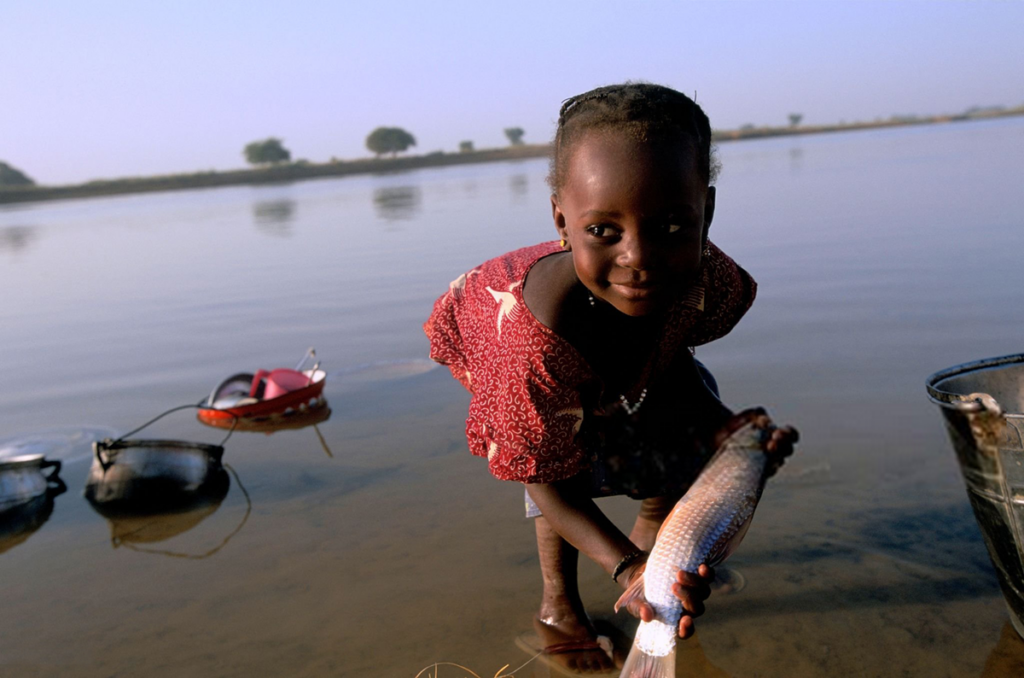 Niger’s landmark achievement: first african nation to eliminate onchocerciasis