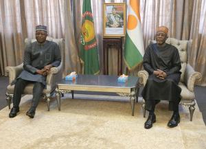New who representative in Niger focuses on health system strengthening