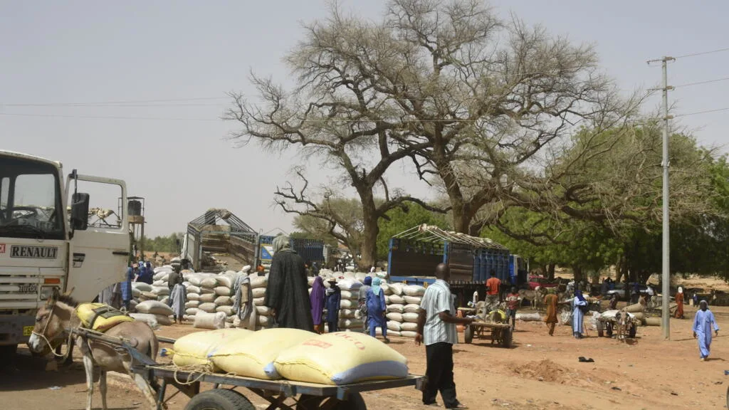 Niger displacement crisis