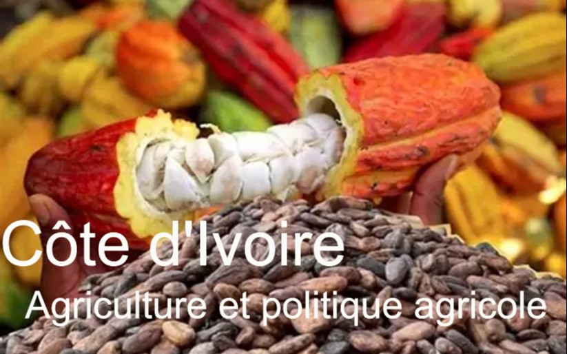 Côte d’Ivoire’s agricultural sector and policy insights