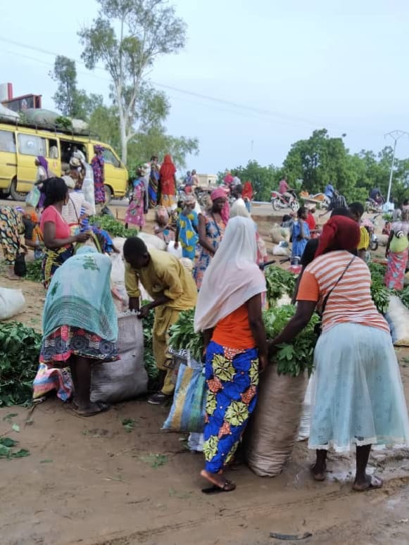 N’Djamena’s urban disorder: poverty’s shadow over city cleanup efforts