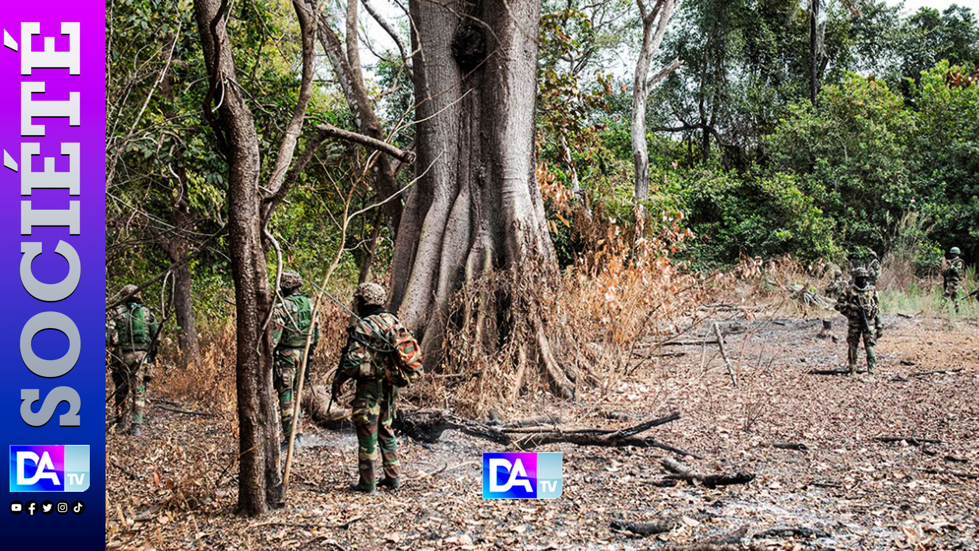 Senegal casamance conflict cannabis rebels weakened despite old tensions
