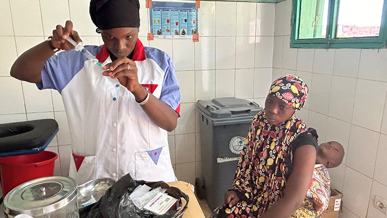 Advancing health systems in Sahel’s vulnerable regions: key achievements