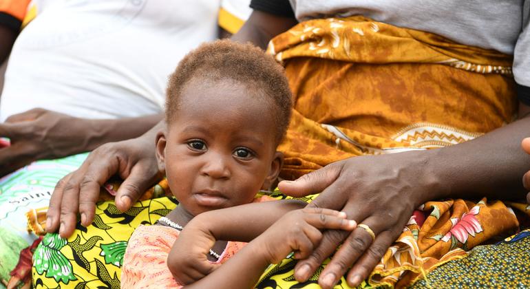 West Africa Sahel crisis demands urgent funding to save millions