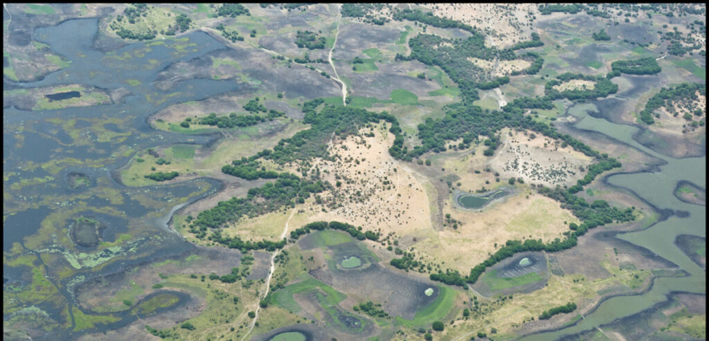Deadly airstrikes on lake Chad claim lives of nigerian fishermen