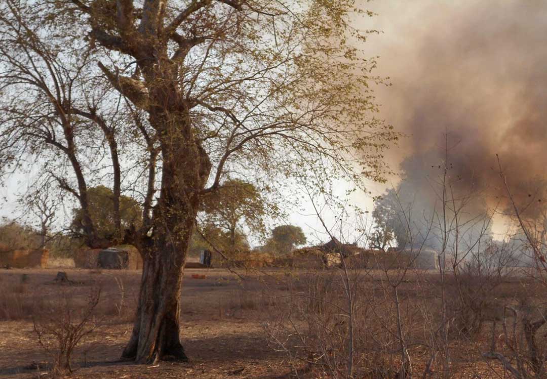 Boko haram and iswap battle for dominance in sambisa forest