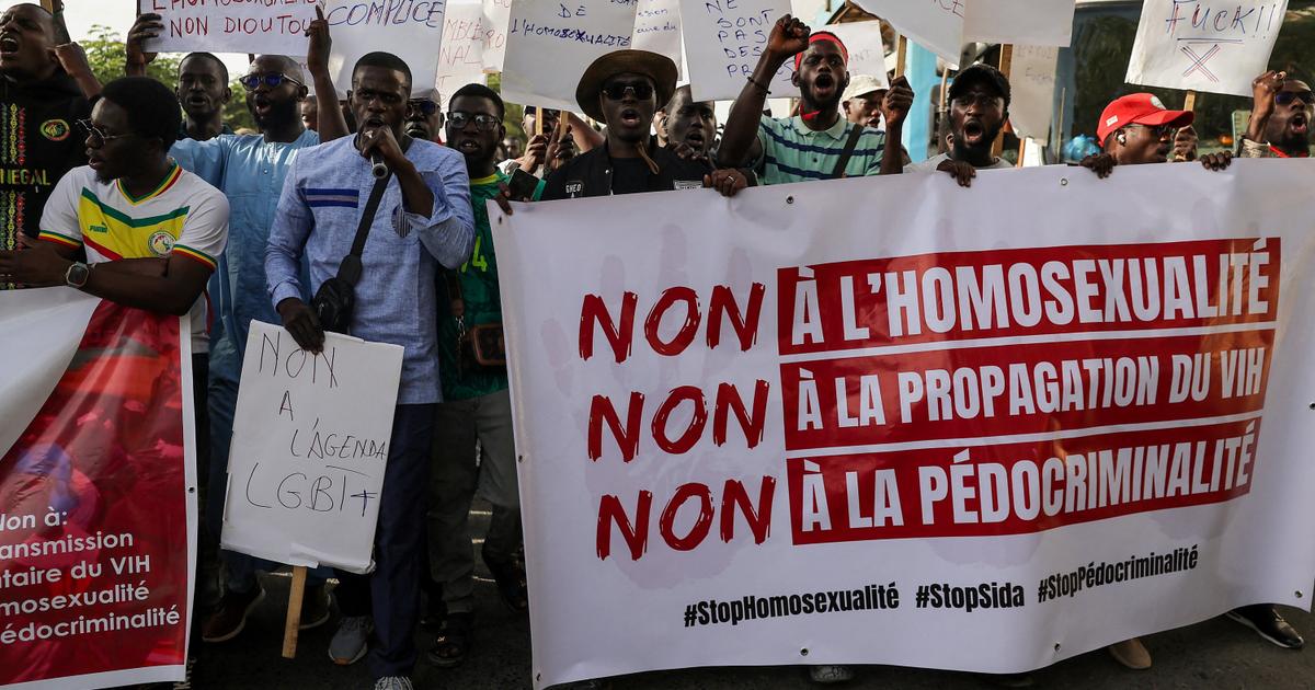 Senegal’s quiet bravery: navigating state homophobia in West Africa