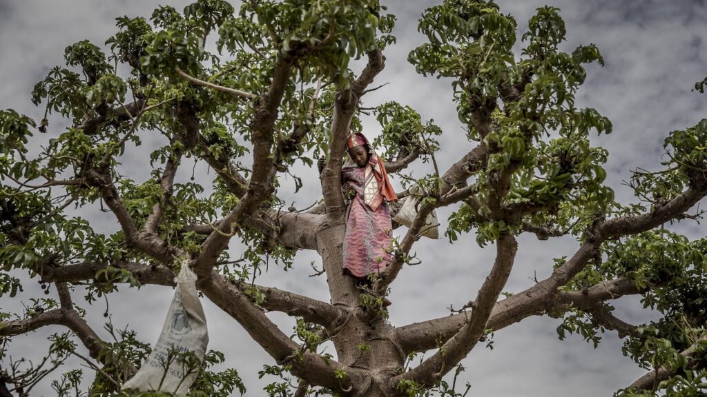 Niger’s worsening economic crisis: a generation’s struggle with hunger