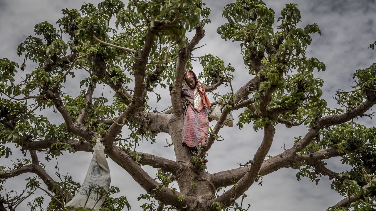 Niger’s worsening economic crisis: a generation’s struggle with hunger