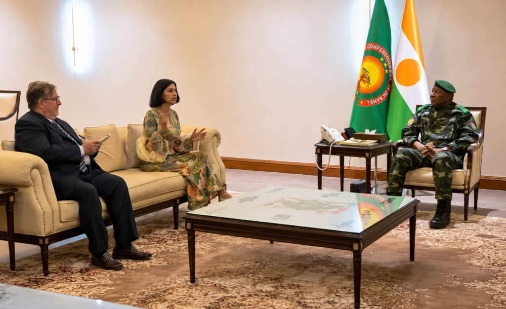 Niamey’s diplomatic facade overshadows passport crisis realities