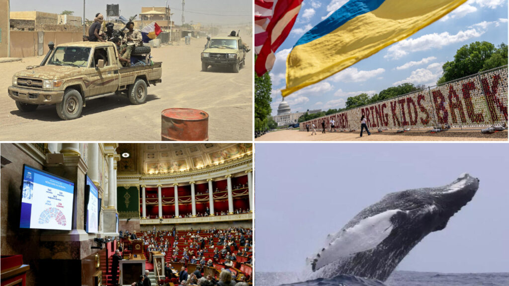 Examining the jnim-fla alliance in Mali: trajectory and implications