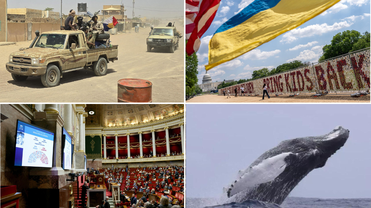 Examining the jnim-fla alliance in Mali: trajectory and implications