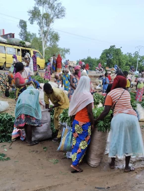 N’Djamena’s urban disorder: poverty’s shadow over city cleanup efforts