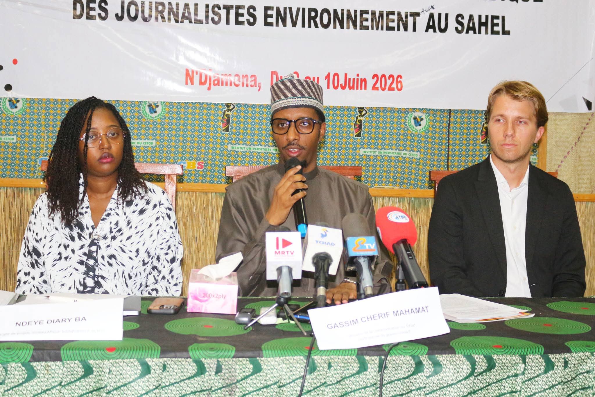 Regional workshop in N’Djamena to strengthen legal protection for environmental journalists