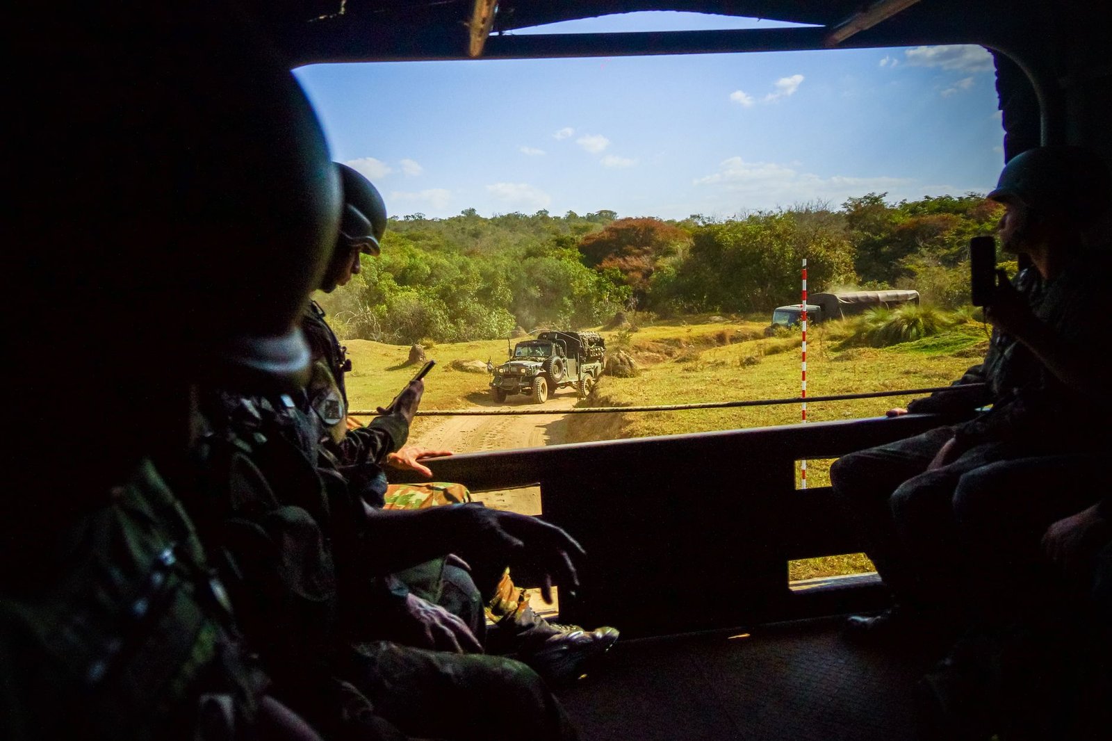 Mali bans civilians from 40 forests to combat jihadists