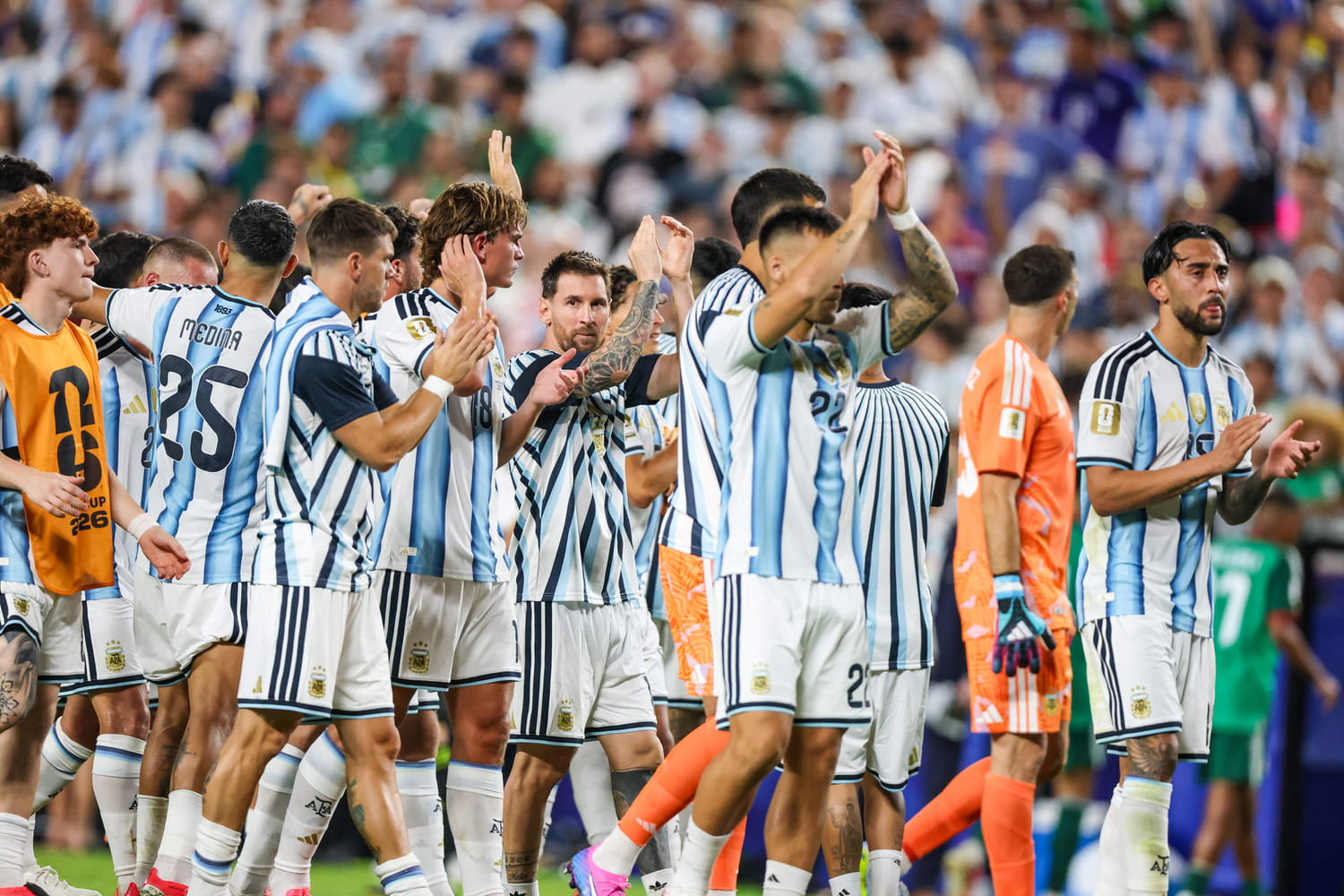Who is the referee amin mohamed for the argentina vs austria world cup match