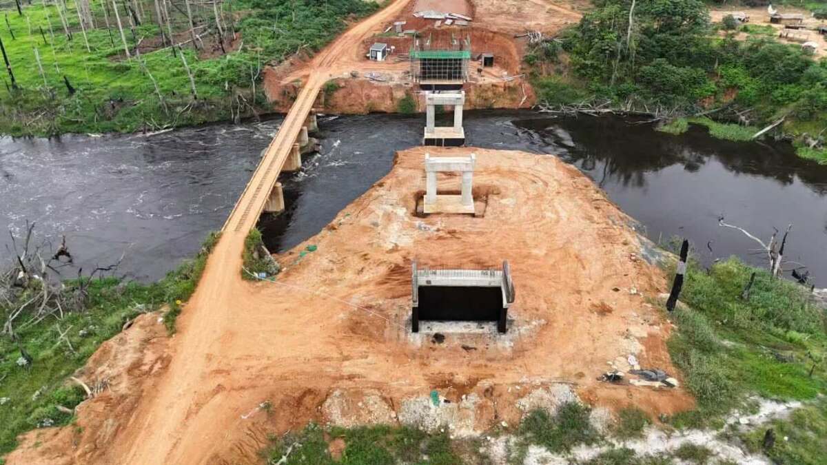 Bridge over the Dja: major progress in southern Cameroon’s opening-up project