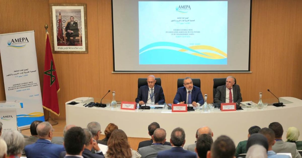 Tarik Hamane elected president of AMEPA for a four-year term