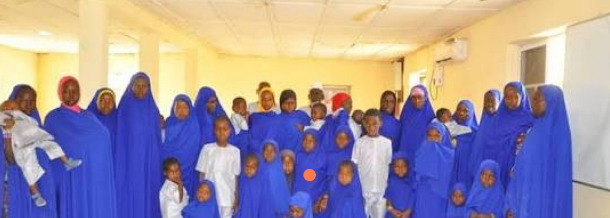 Nigerian forces rescue 47 captives from ISWAP in Borno state offensive
