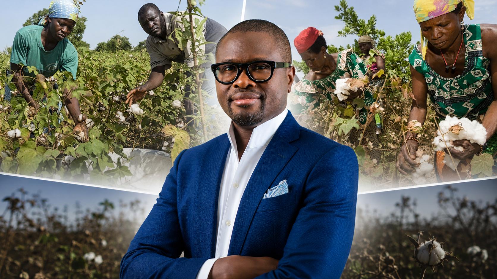 Benin’s cotton strategy: linking producer incentives to national output
