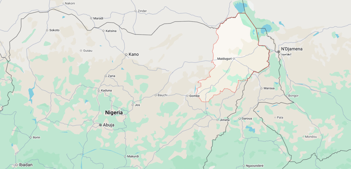 Over 400 women and children freed from Boko Haram captivity in Borno, Nigeria