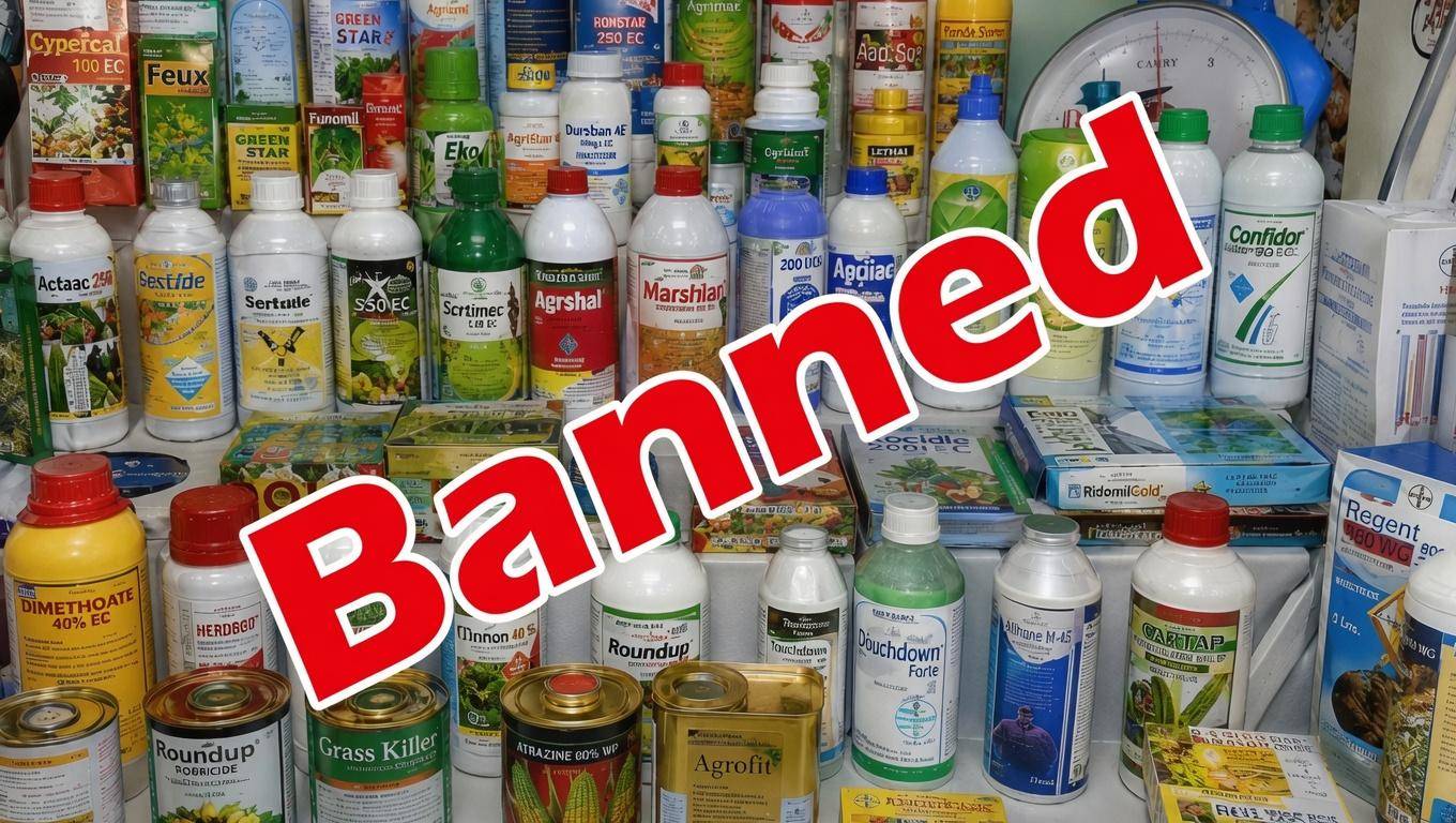 Bénin: a new offensive against illegal skin-lightening products