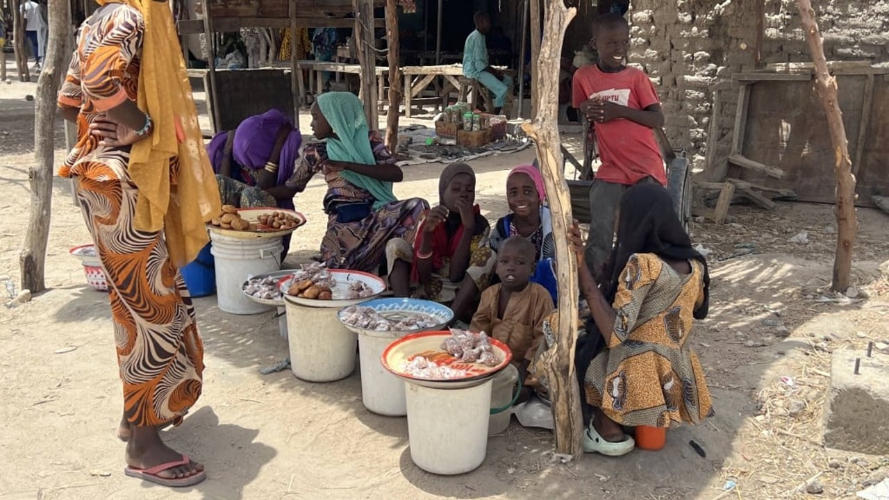 Boko Haram frees hundreds of kidnapped people in Nigeria