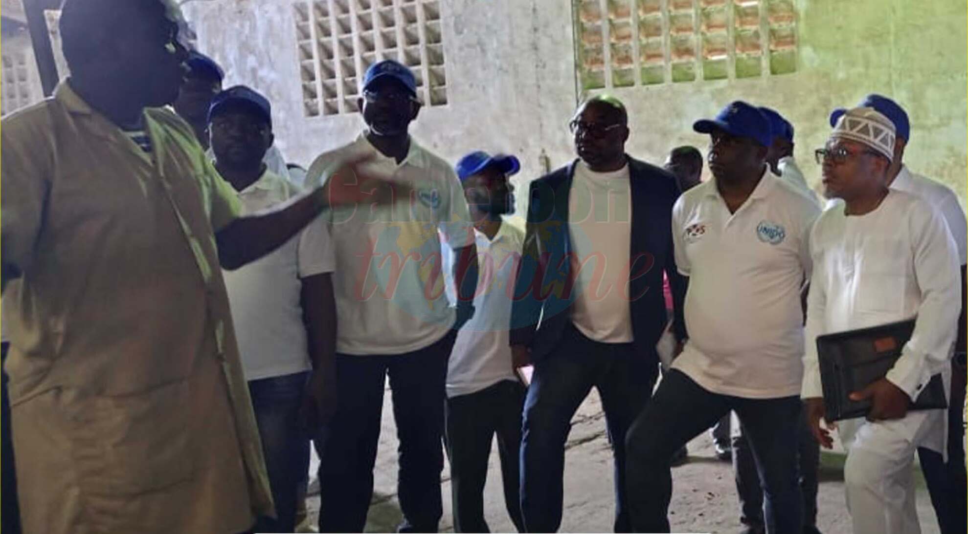 Cameroon cocoa quality boosted by new verifier training program