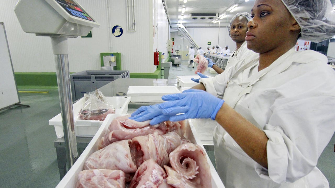 Gabon terminates fishing deal with EU amid sovereignty debate