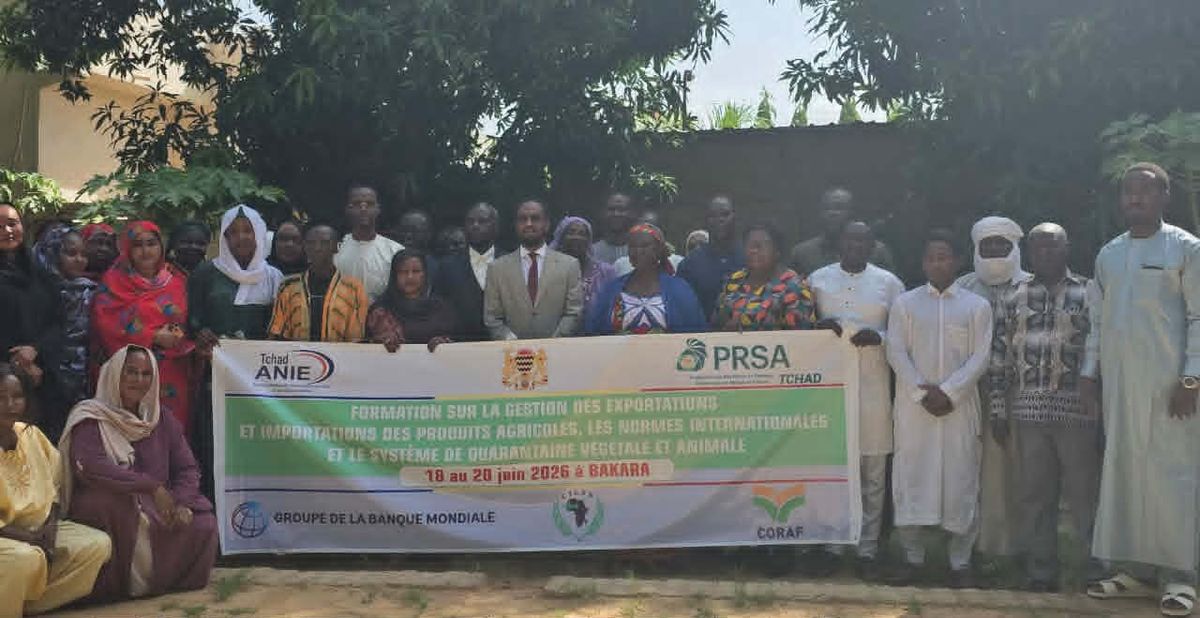 Chad boosts capabilities for robust agricultural export management