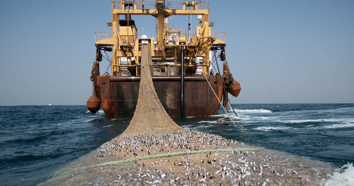 Gabon ends EU fishing agreement, president cites unfair terms