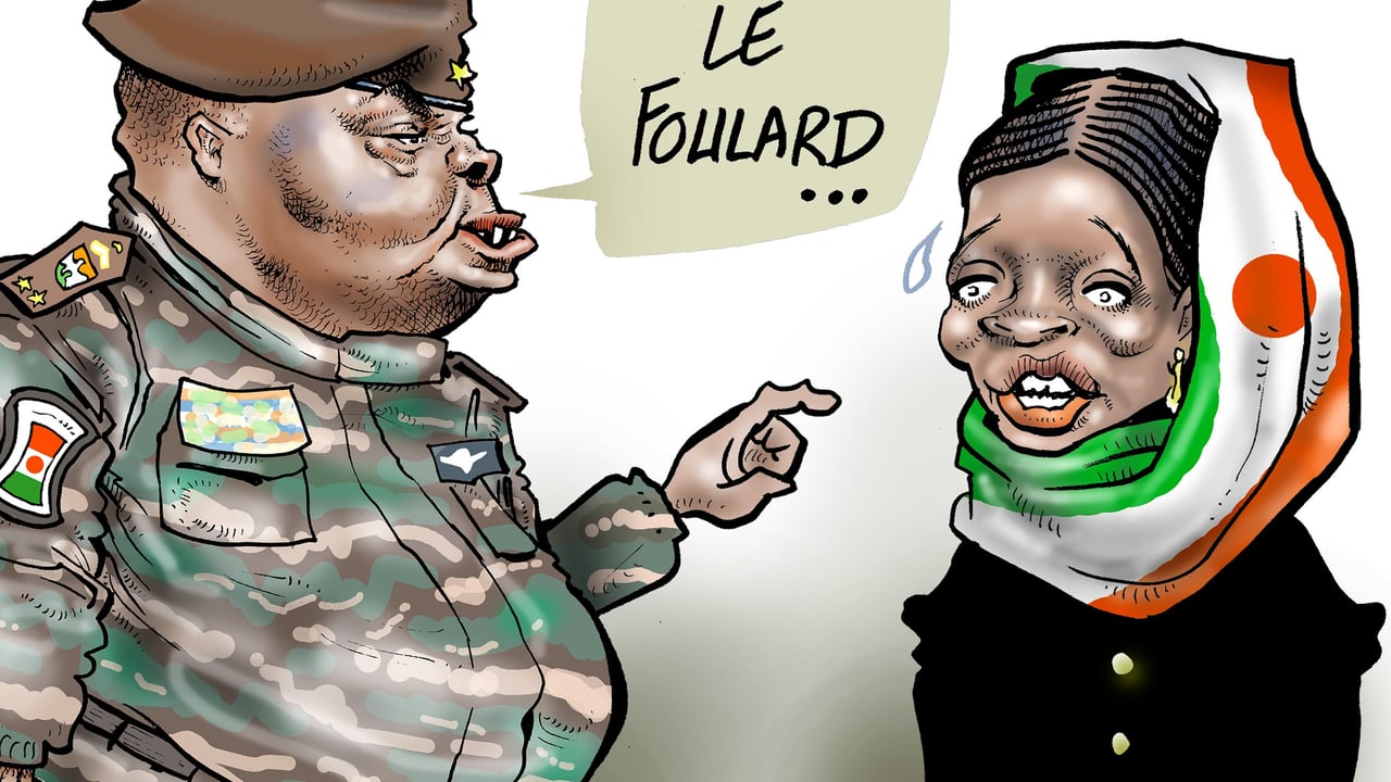Niger’s leader abdourahamane tiani revokes activist mariama djibrine’s citizenship