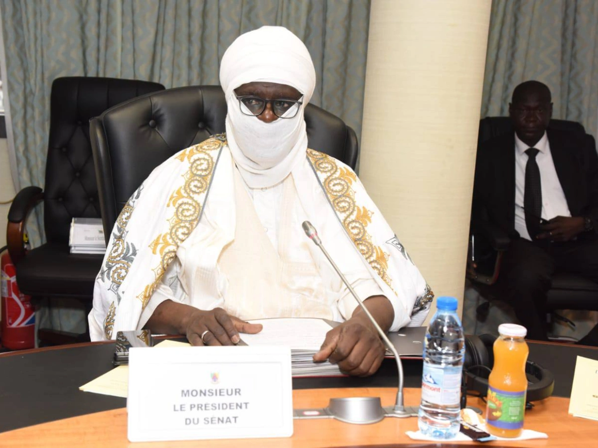 Cameroon senate president demands tougher action against child sexual abuse and femicides