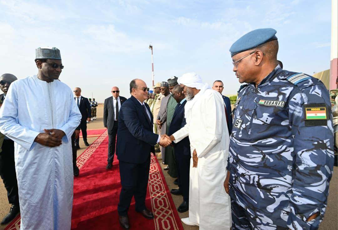Niger prime minister launches solidarity power plant in Niamey