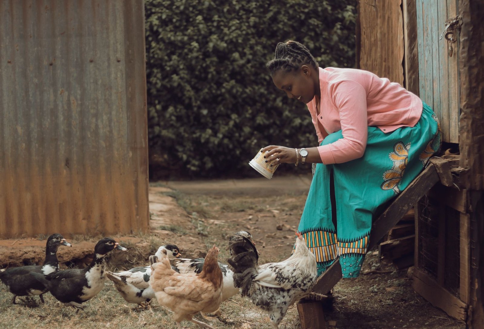 Gabon’s poultry market poised for transformation with sonoco’s ambitious investment