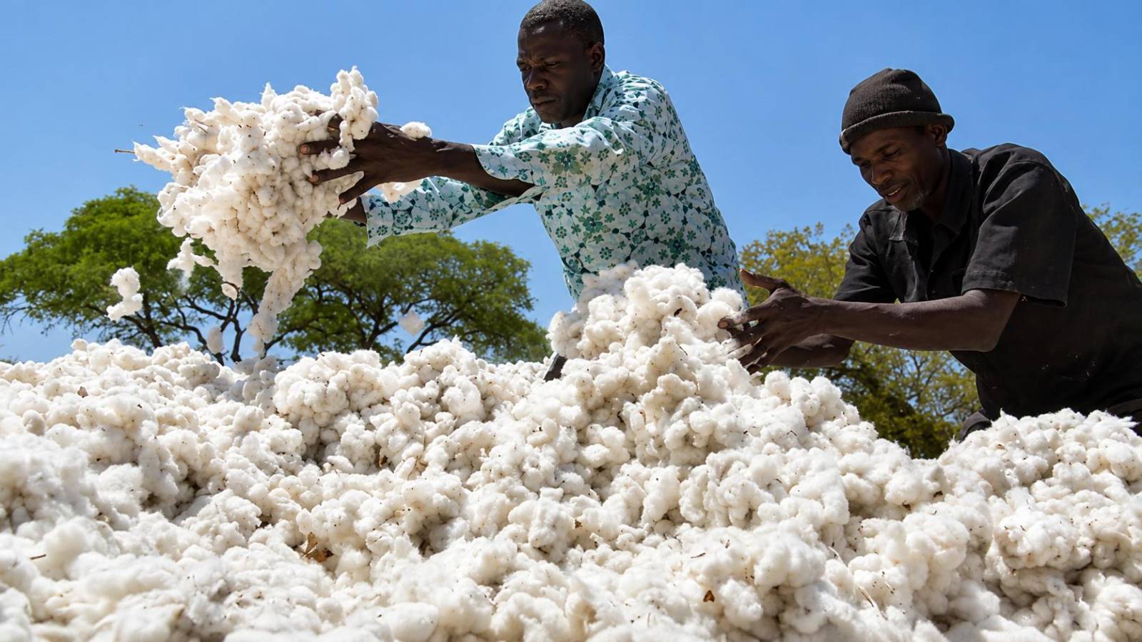 Benin’s drive for food sovereignty: accelerating local agricultural processing