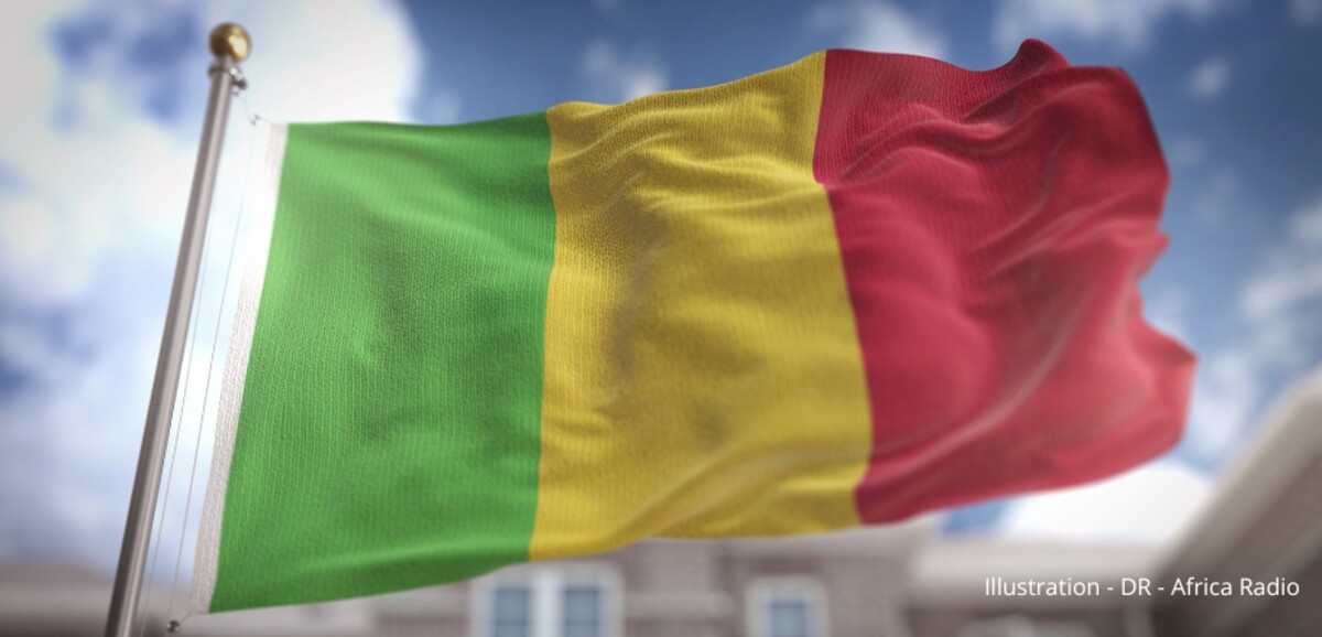 Malian court hands 20-year sentence to french agent over state security charges
