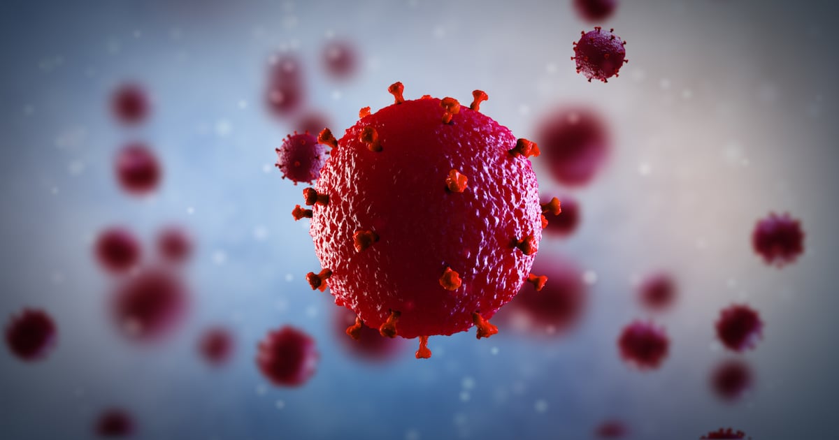 Morocco HIV test shortage exposes public procurement failures with local manufacturers sidelined