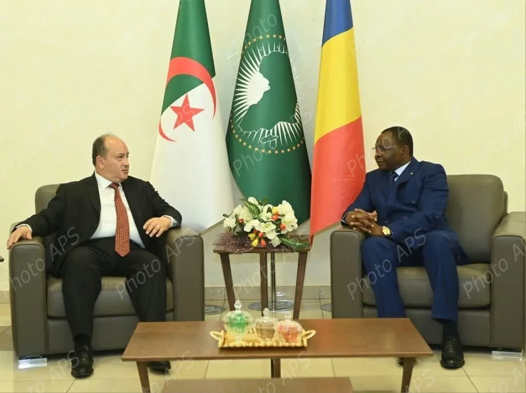 Prime minister sifi ghrieb begins official visit to Chad