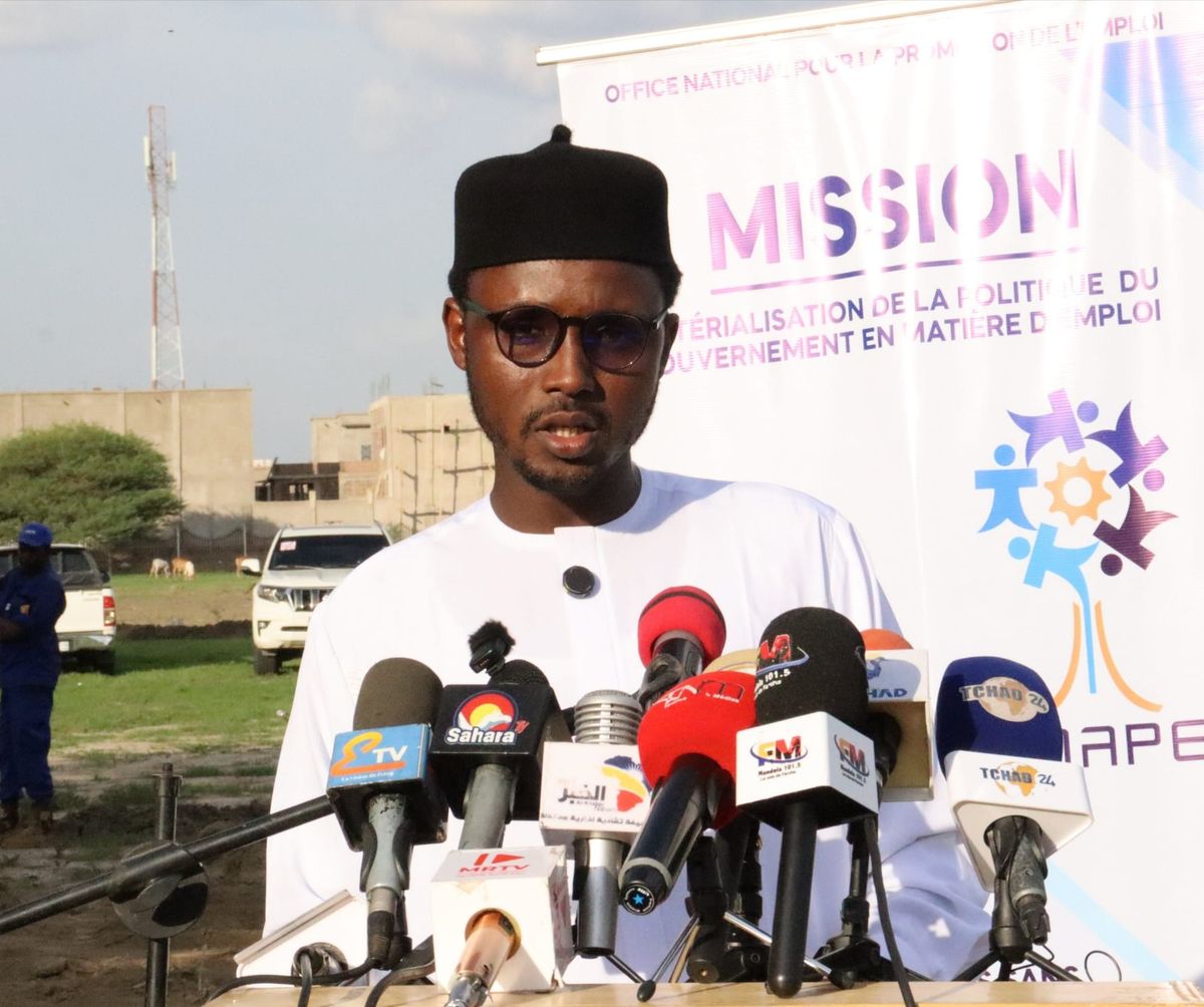Chad onape empowers 200 youth with green skills in N’Djamena