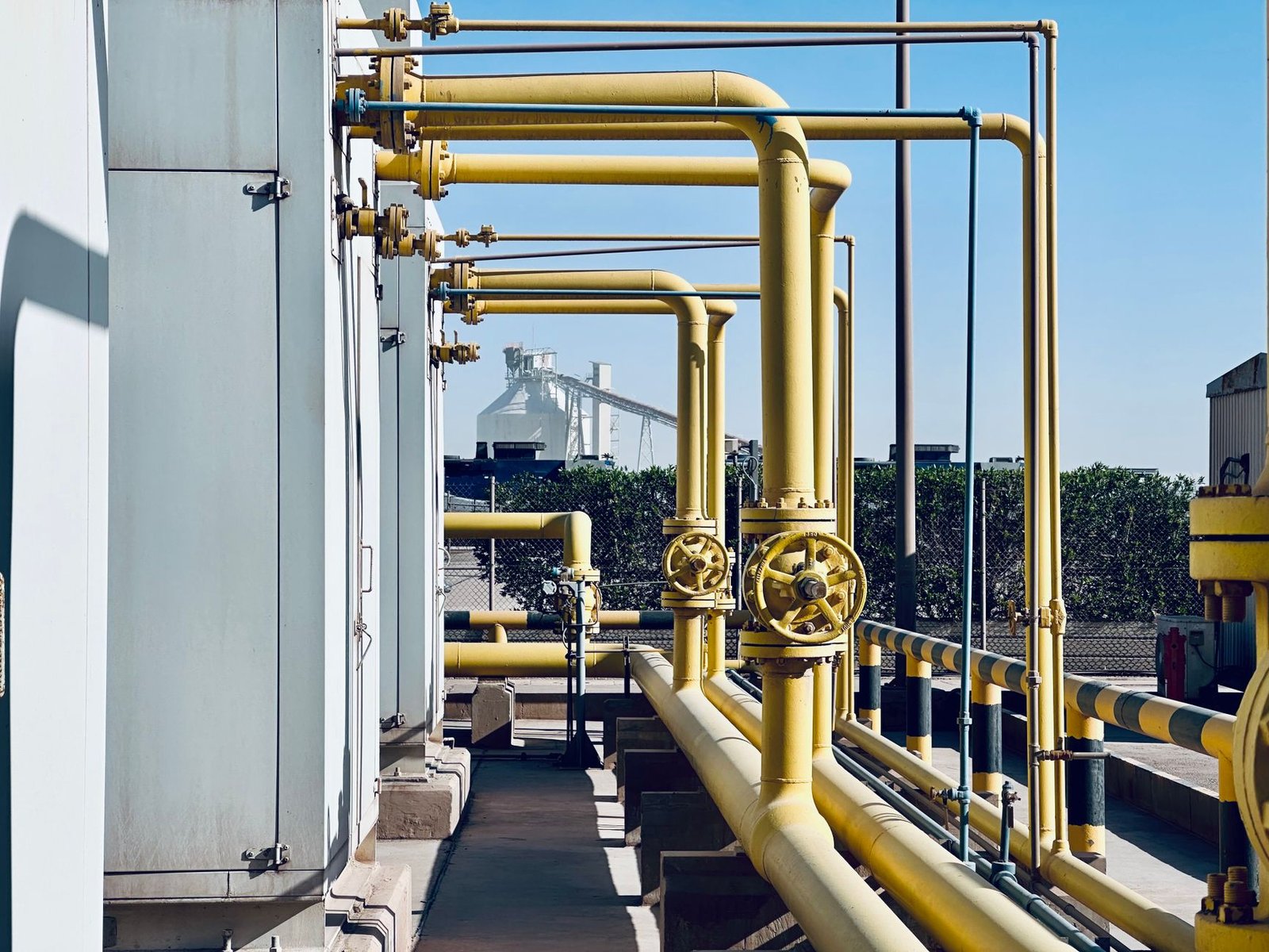 Cameroon’s pipeline transit revenue from Chad oil surges to 222 billion FCFA