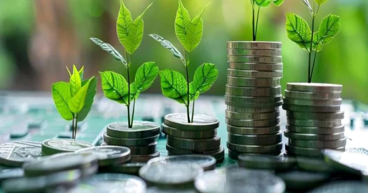 Morocco unveils green taxonomy to drive decarbonized economy