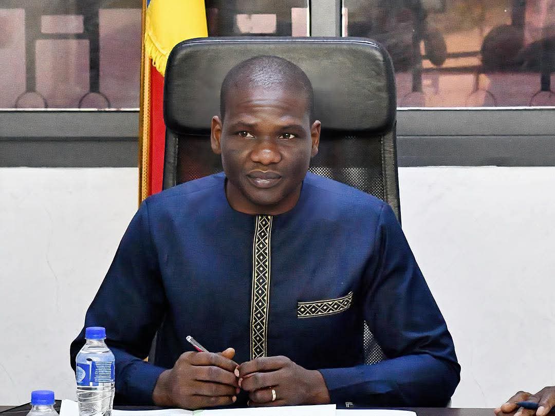 Chad’s commerce ministry halts sales of four non-compliant yogurt brands