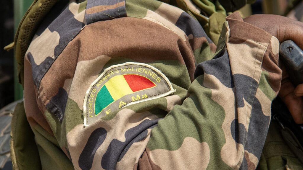 Massacres in central Mali villages linked to army and allied militias