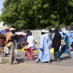 Senegal and Gambia resolve border tensions after Bullock incident