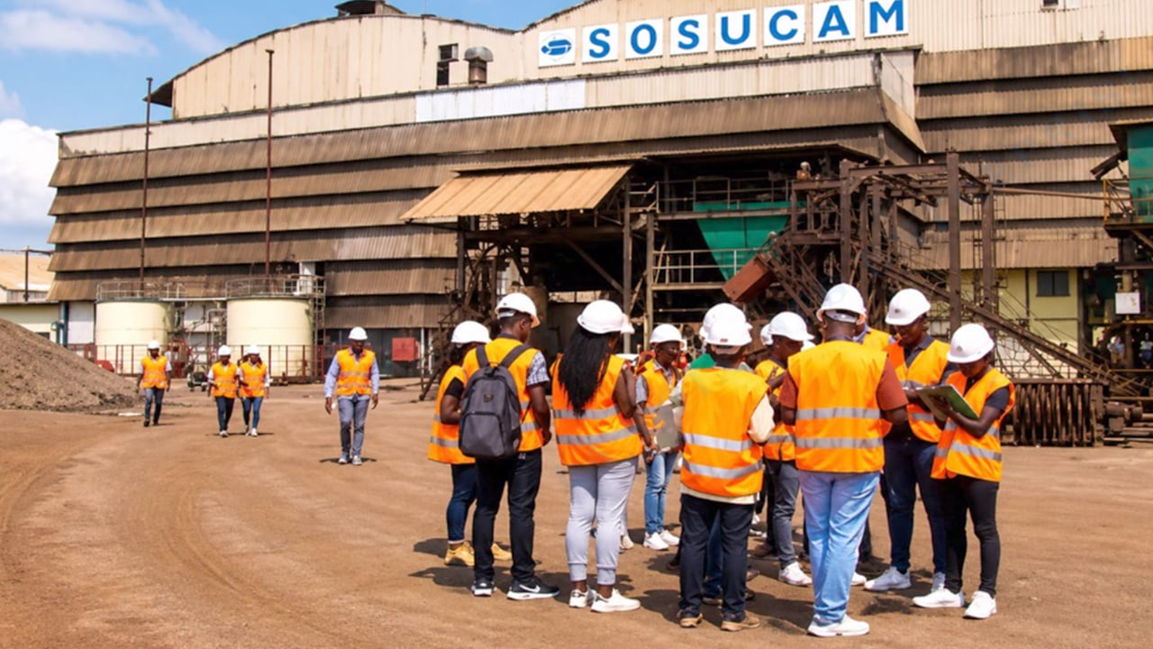 Cameroon sugar industry: Sosucam ownership shift explained