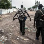 Deadly boko haram raid hits northern Cameroon village
