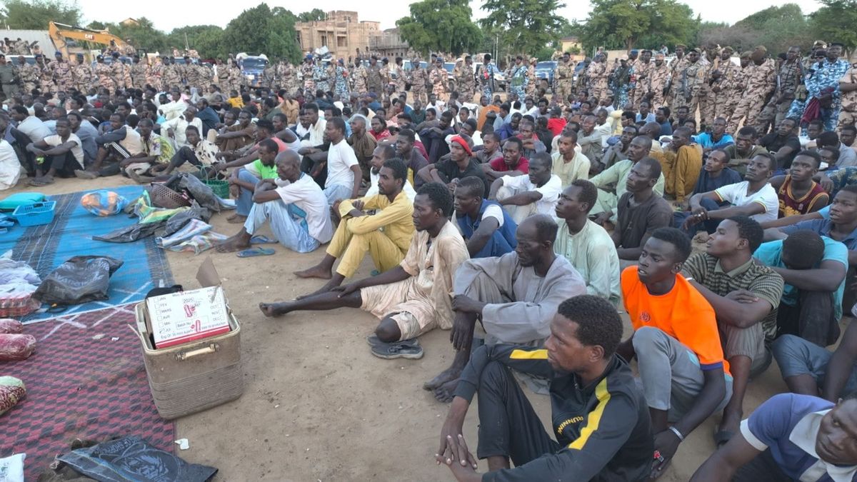 N’Djamena security forces conducting anti-crime operation